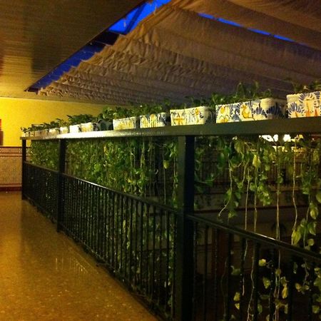 Hotel Sandra الكالا ذي غواذَيْرا المظهر الخارجي الصورة