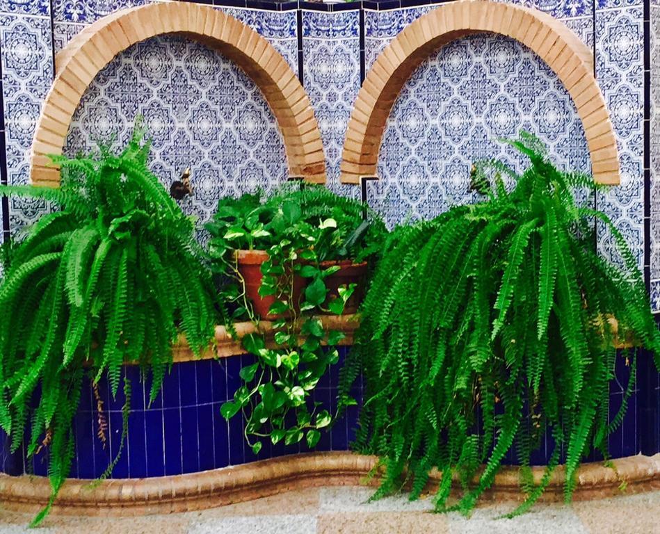Hotel Sandra الكالا ذي غواذَيْرا المظهر الخارجي الصورة